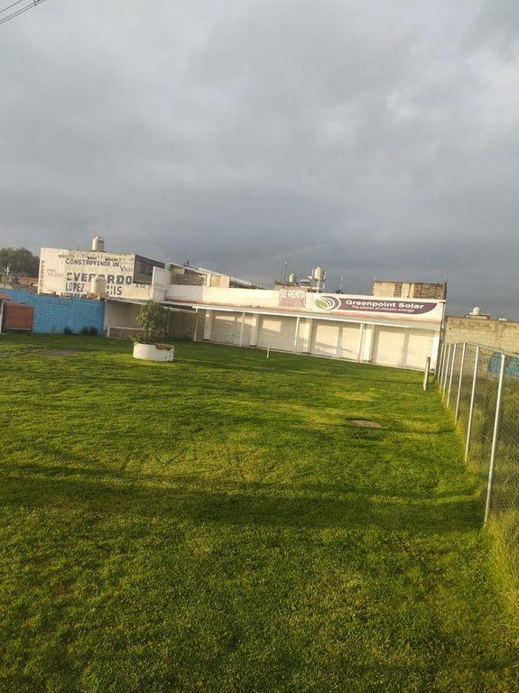 Foto de la galeria de imagenes